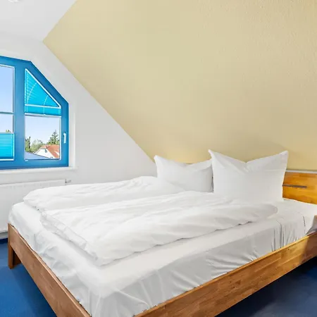 Papillon Papillon 08